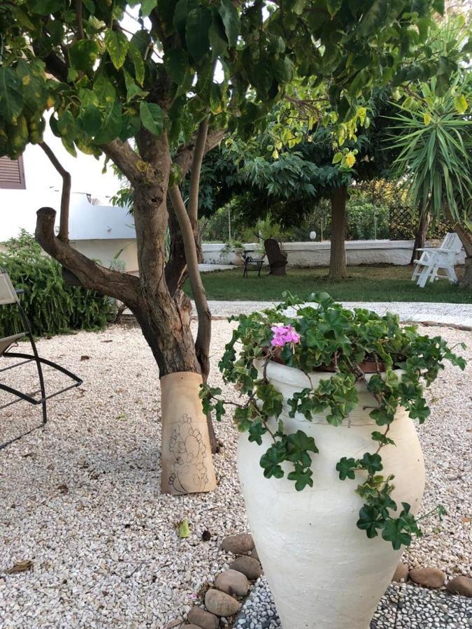 Il Gelso Nella Valle 阿格里真托 外观 照片